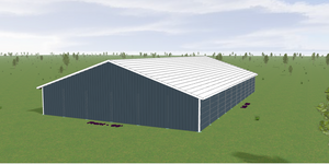 THE "FLAGLER" - 60' X 100' CUSTOMIZABLE COMPLETE ENCLOSED POLE BARN KIT BLACKWATER TRUSS SYSTEMS